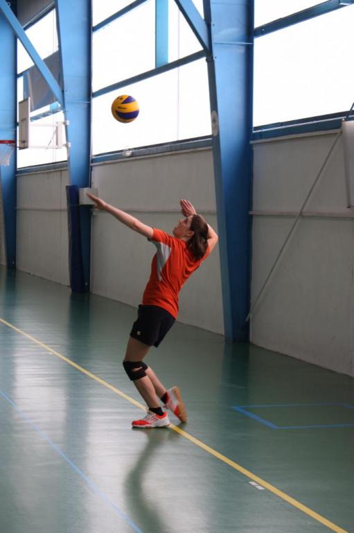 Tournois volley AS CHU 074
