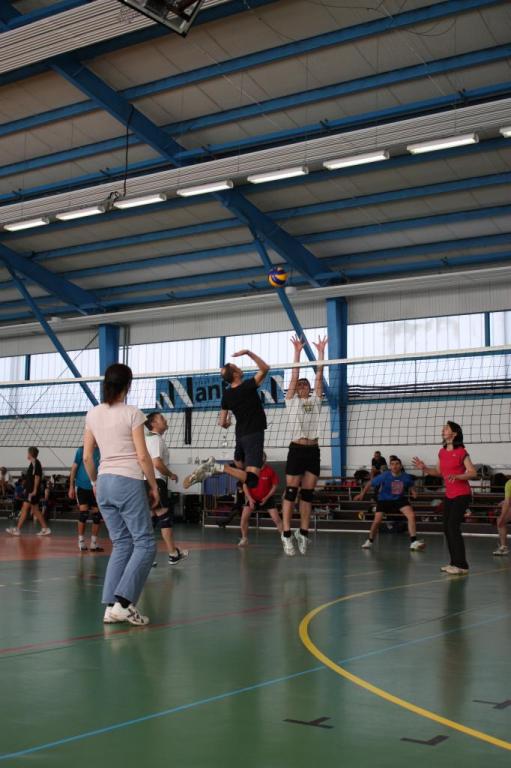 Tournois volley AS CHU 172