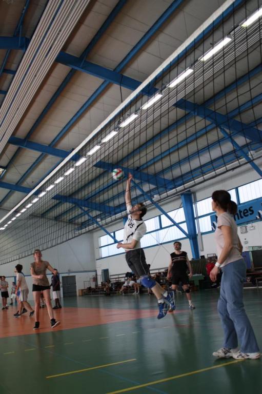 Tournois volley AS CHU 288