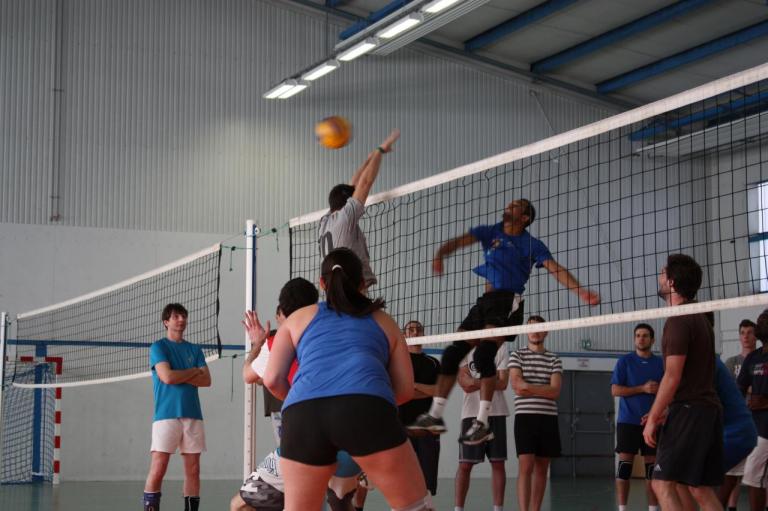 Tournois volley AS CHU 350