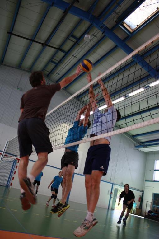 Tournois volley AS CHU 872